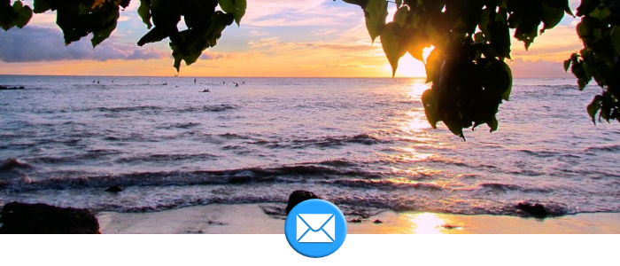 E-Mail Maui Realtor Brian Rose