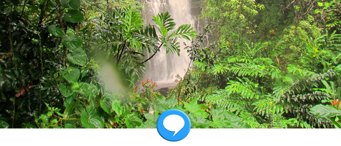 Message Maui Realtor Brian Rose